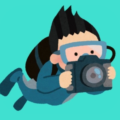 Best guide to underwater cameras for new Scuba Divers